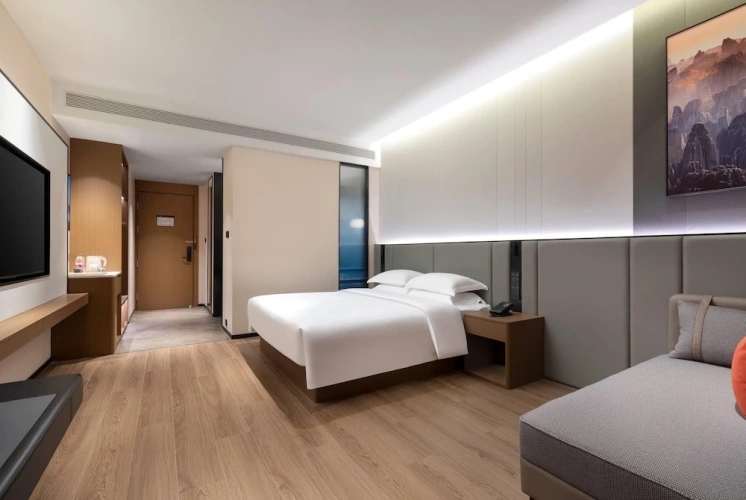 Deluxe Double room with city view