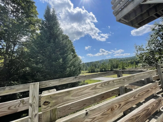 Deluxe Twin room with garden view