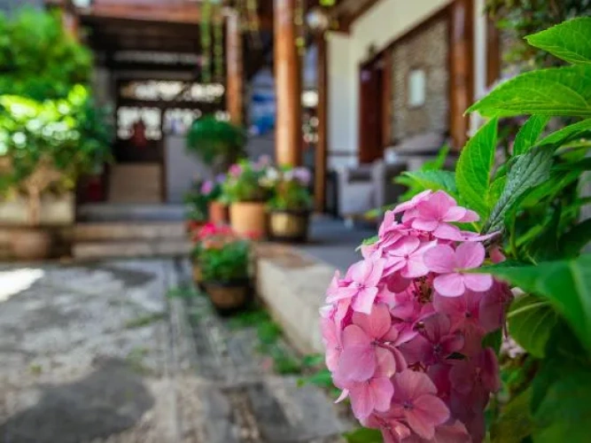 Outside
