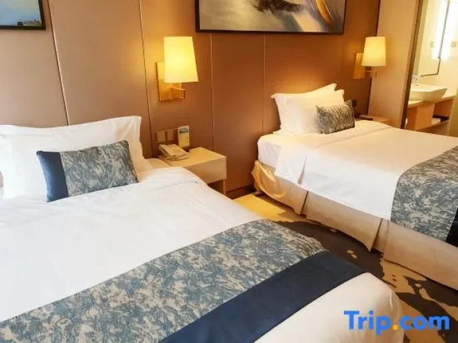 Executive Twin room