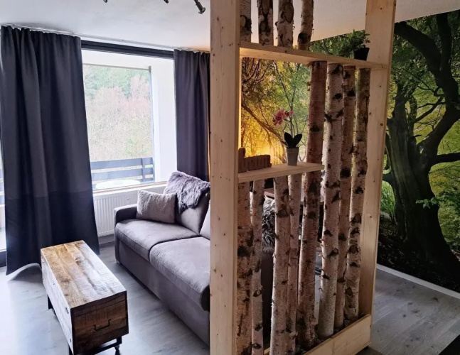 Studio in Winterberg Near Ski Slopes