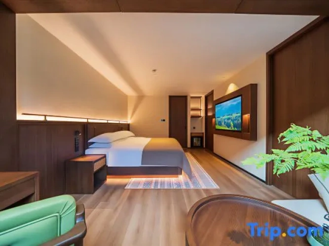 Premium Suite