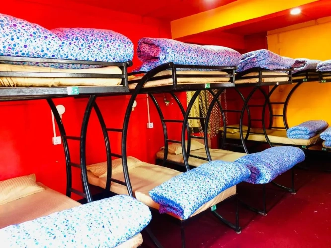 Bed in Dorm