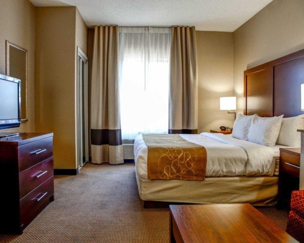 1 Bedroom Double Suite