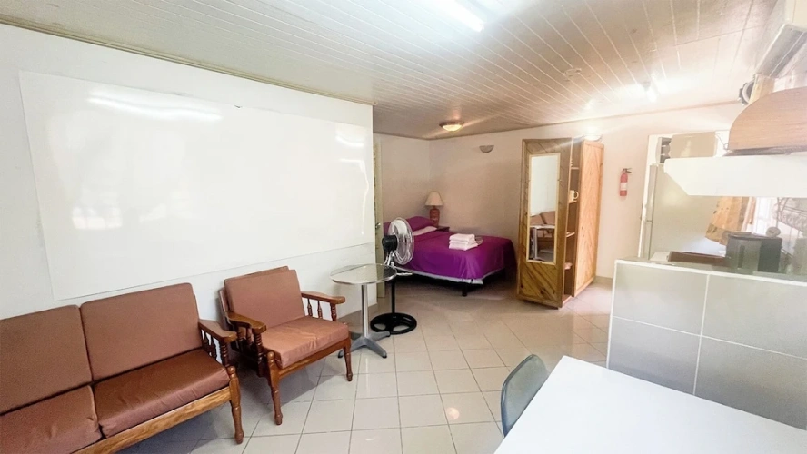 Classic Double Suite with garden view