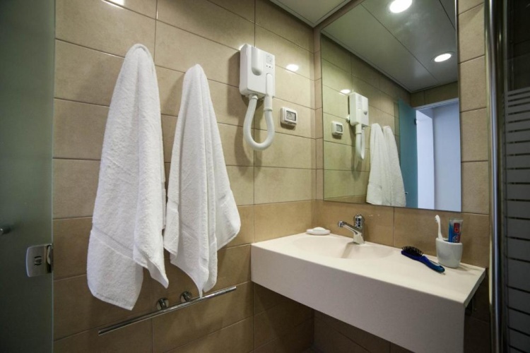 Standard Double room with balcony and with garden view