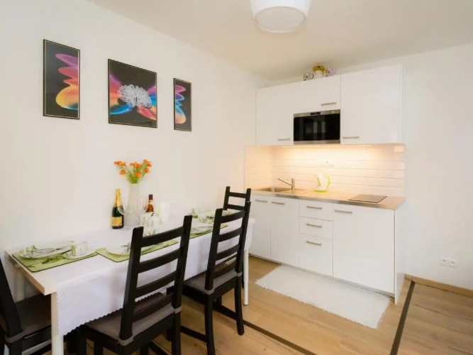 1 Bedroom Apartment