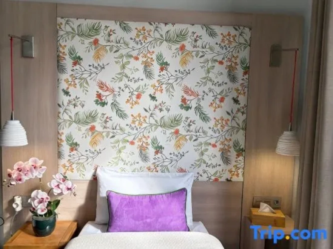 Standard Single room with city view