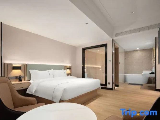 Comfort Suite