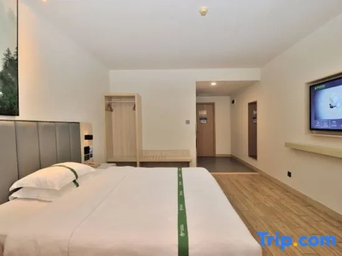 Standard Double room with garden view