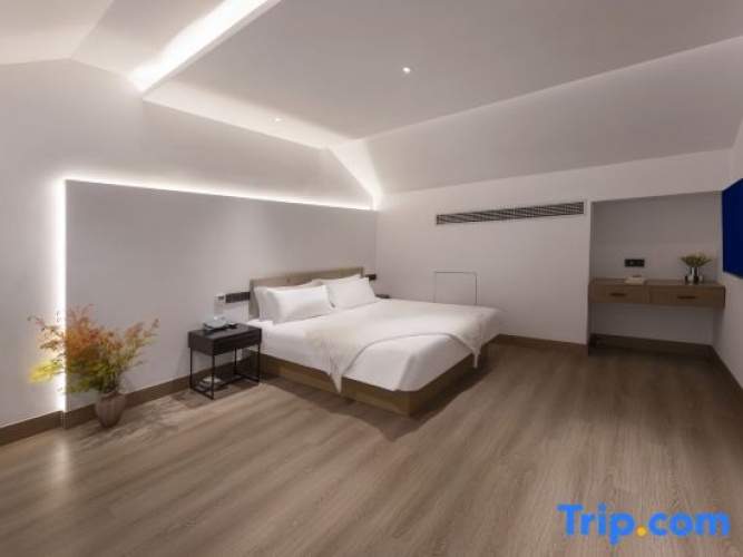 Luxury Apartment