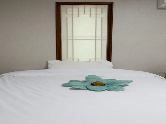 1 Bedroom Standard Double room