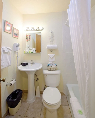 1 Bedroom Standard Apartment with mountain view