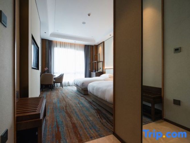 Deluxe Twin room with city view