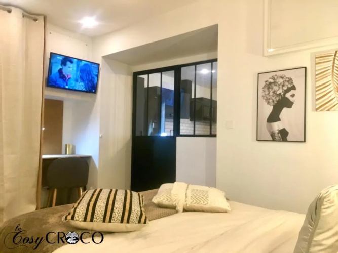 Cosy CROCO - Appart T2 Centre Nîmes - Wifi et Parking