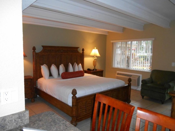Deluxe Double Suite with view