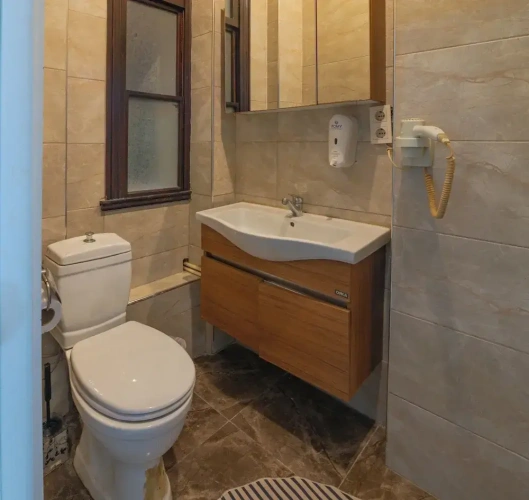 1 Bedroom Standard Triple Family room