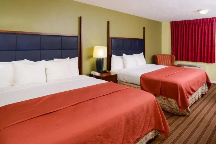 Standard Double room