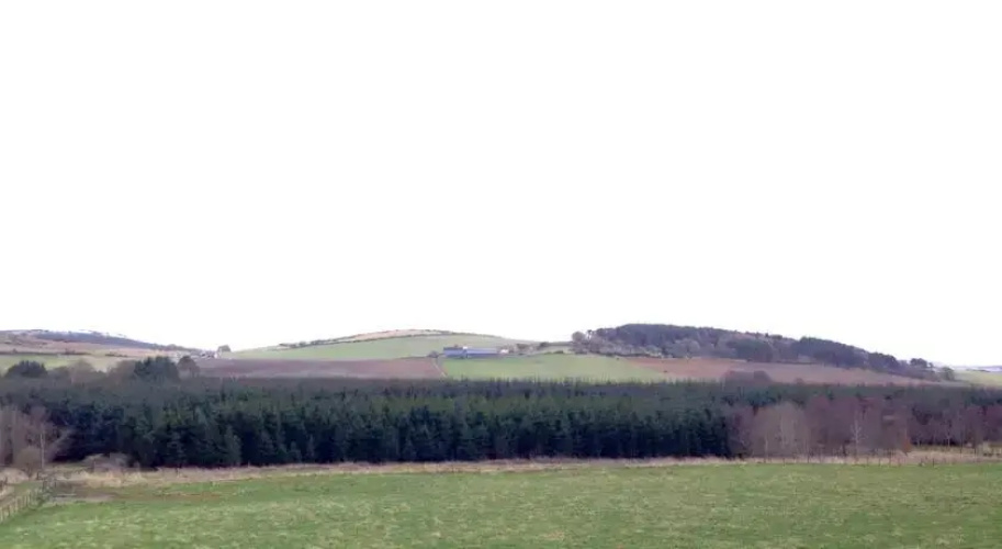 Walkers Inn