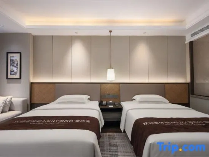 Standard Twin room with balcony
