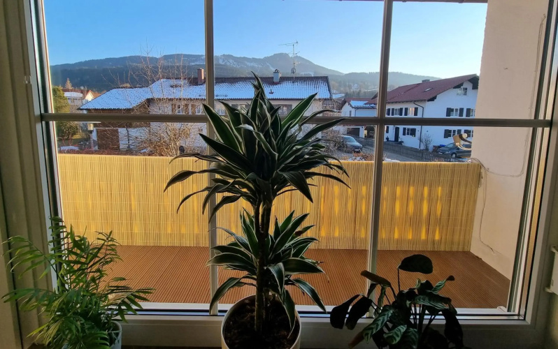 Ferienwohnung BERGLIEBE