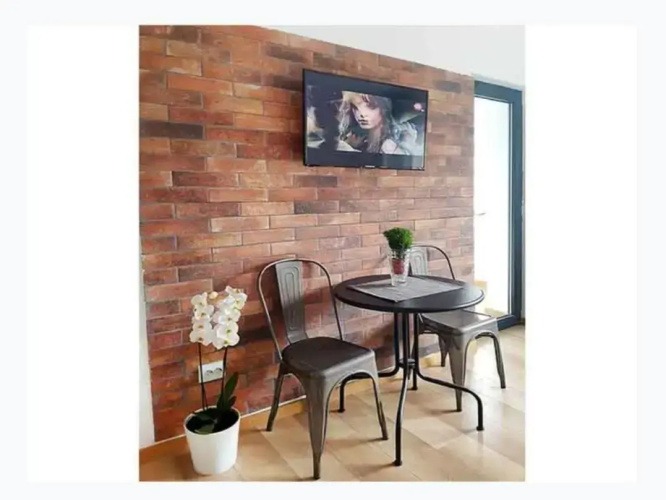 Piata Victoriei Sanador Studio Apartment