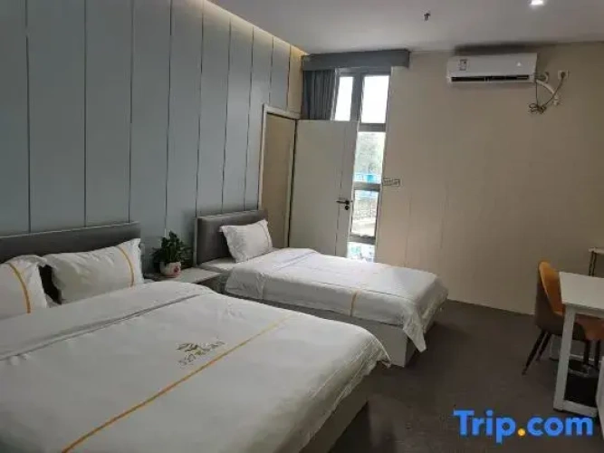 Executive Triple Suite