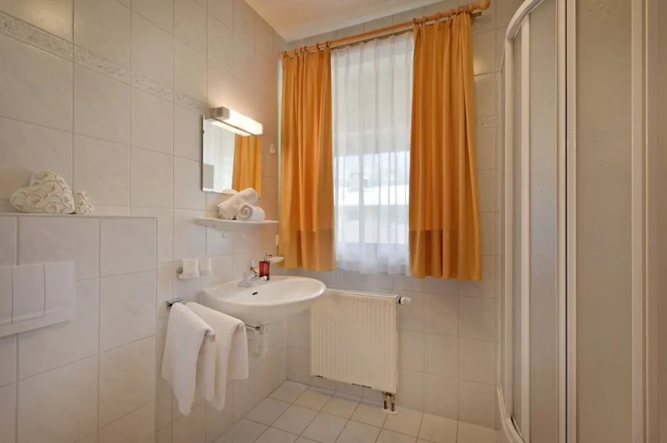 Standard Double room with balcony and with mountain view