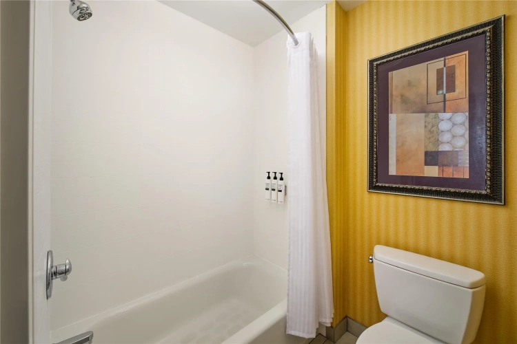 1 Bedroom Premium Suite
