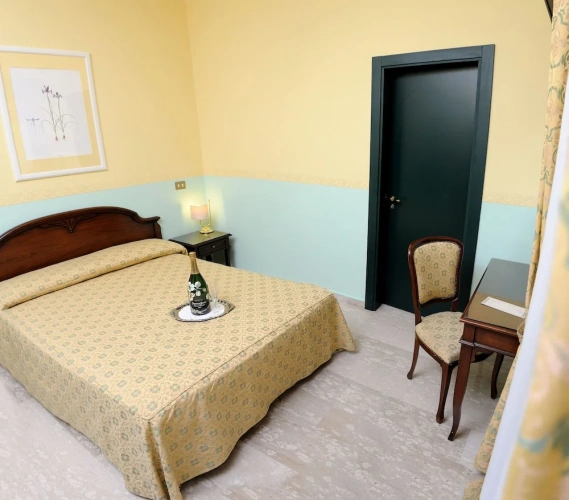 Superior Double room with balcony and with city view