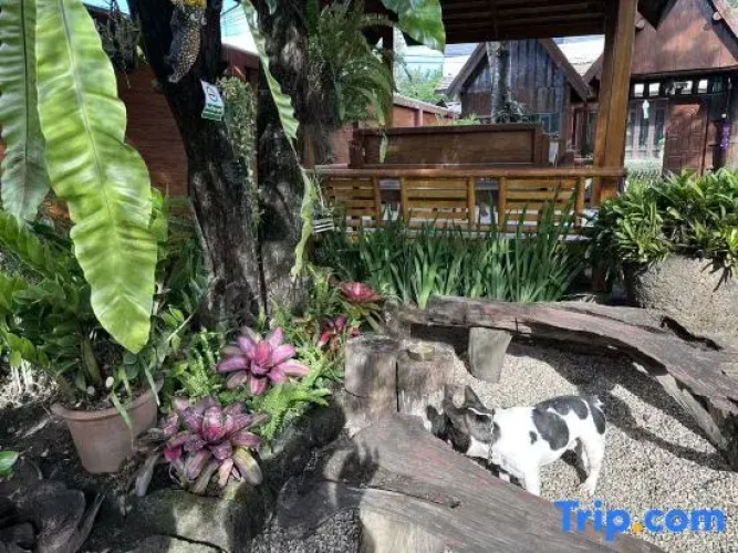 Thai Tom's Guesthouse