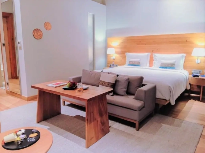 Premium Twin Villa