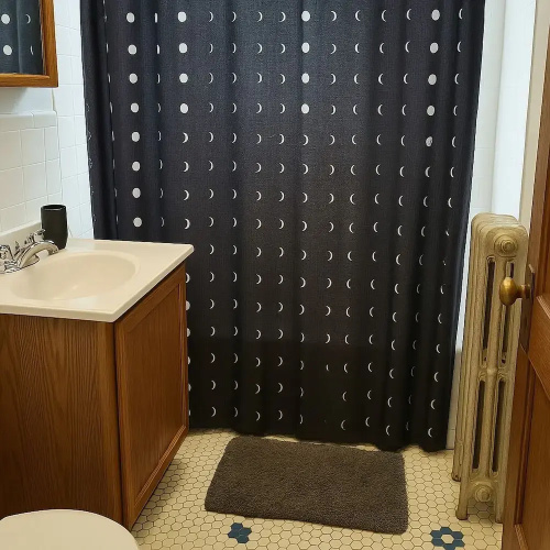 1BR Chicago Apt - Larchmont rep