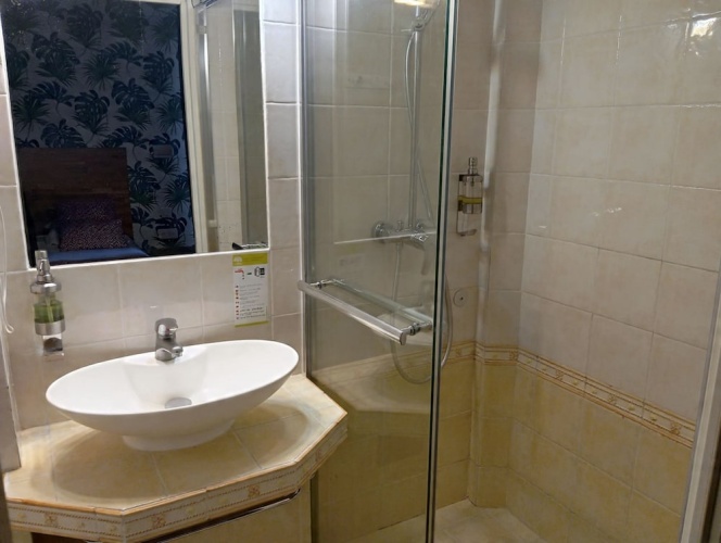 Comfort Triple room with garden view
