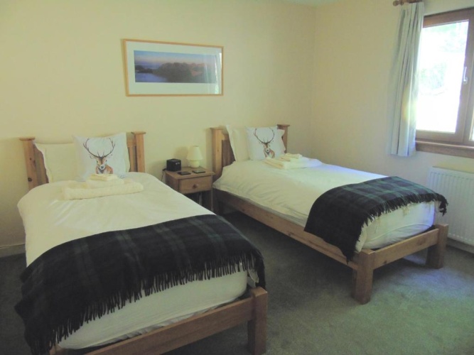 Standard Twin room with garden view