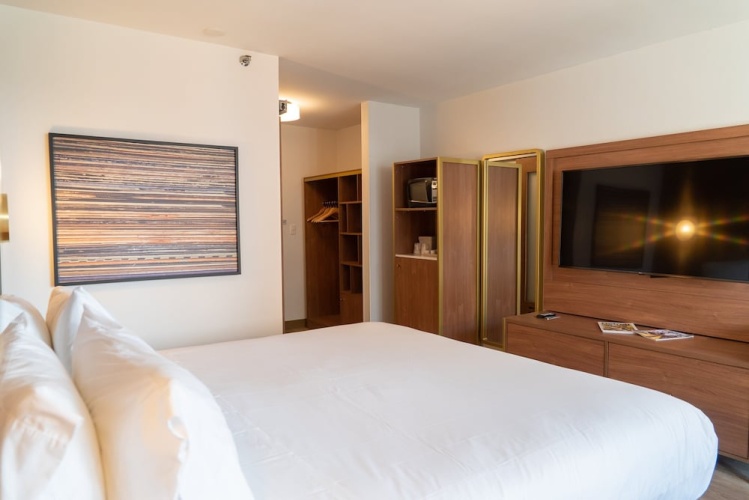 Hotel Indigo Detroit Downtown photo 9