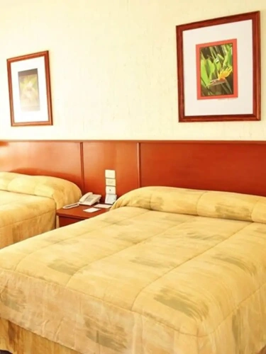 Executive Quadruple room