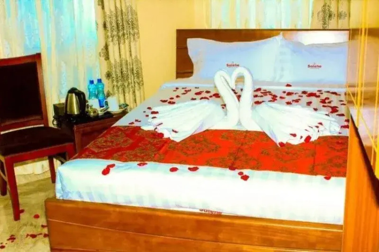 Salehe Safaris Hotel