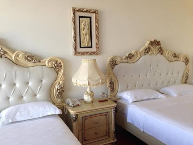 Deluxe Double room with balcony and with garden view