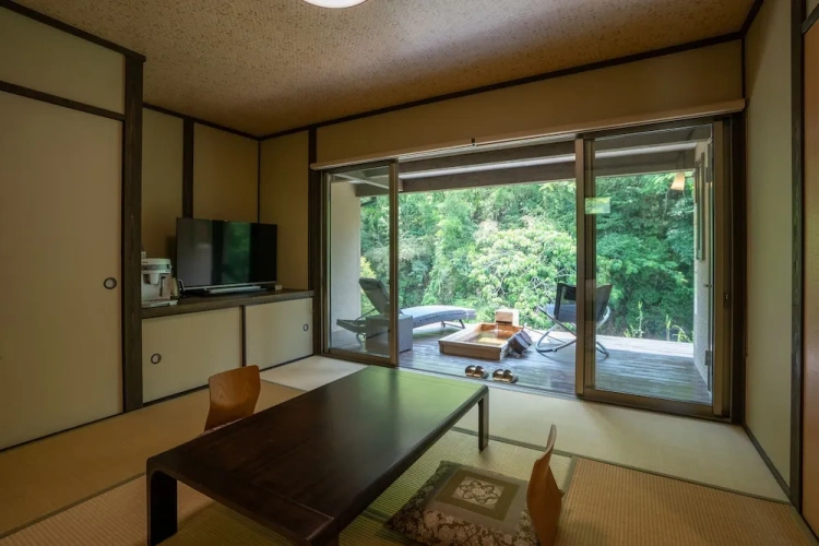 Standard room with balcony and with mountain view