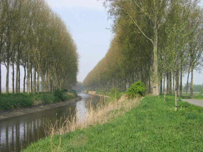 Jardin de Lieze