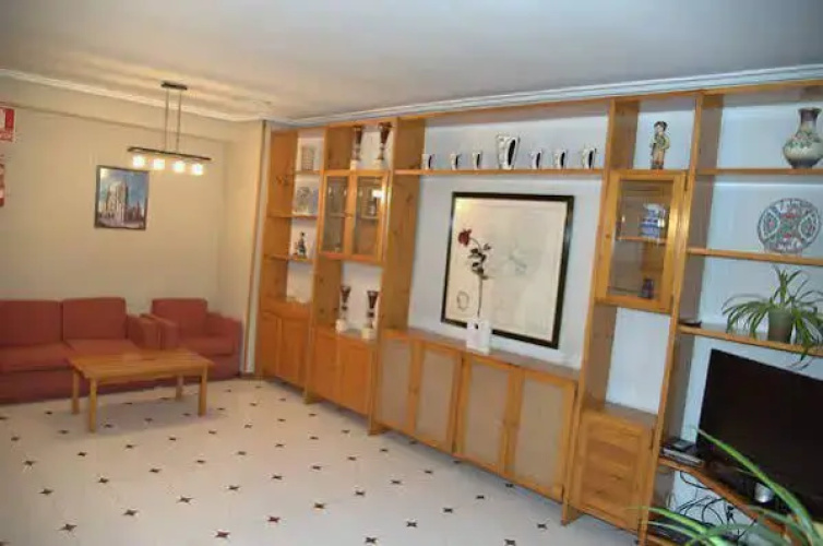 Alvi