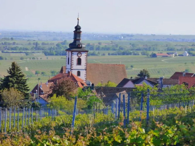 Zum Kronprinzen