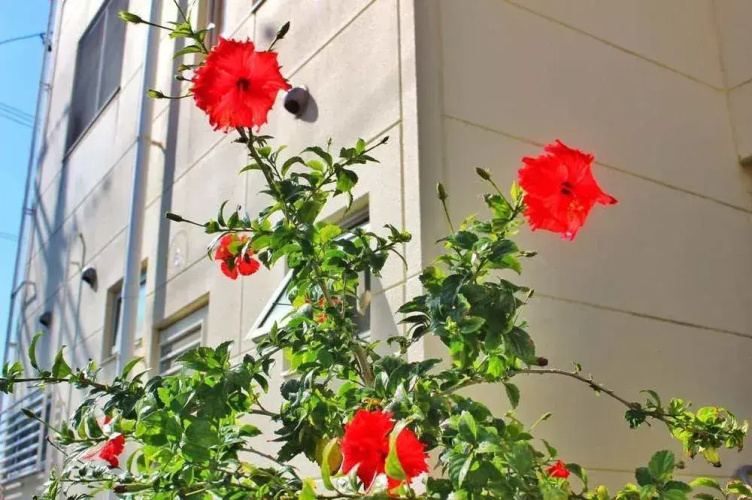 Route 6 Guest House