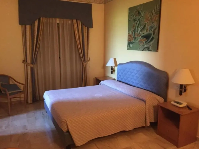 Standard Double room with balcony and with view