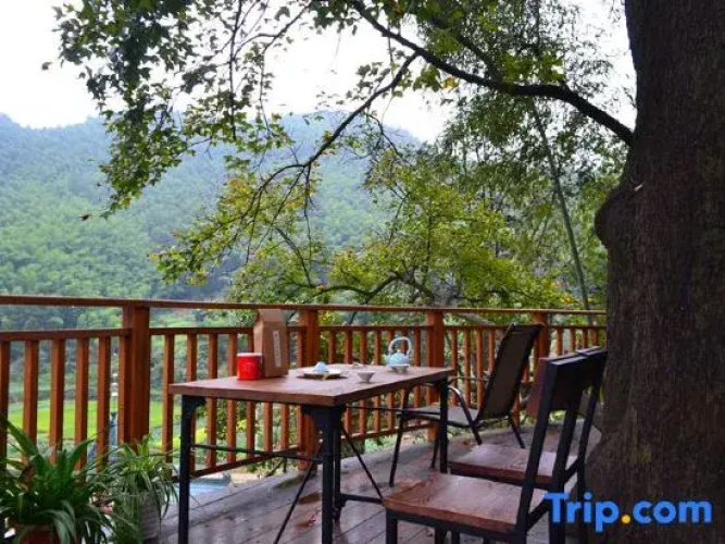 Tree House Guesthouse