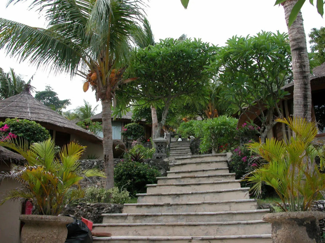 Coconuts Beach Resort