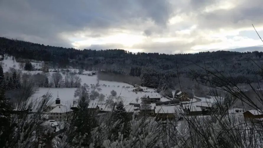 La mansarde aux digitales