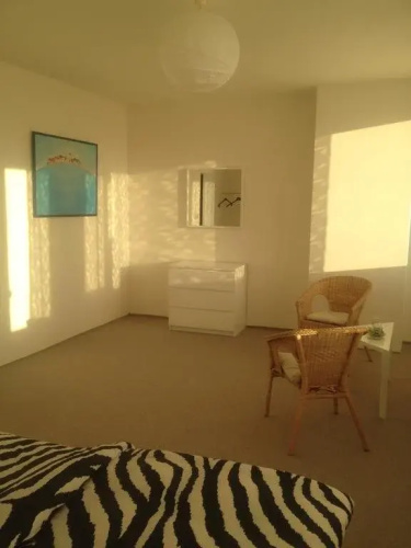 B&B Home