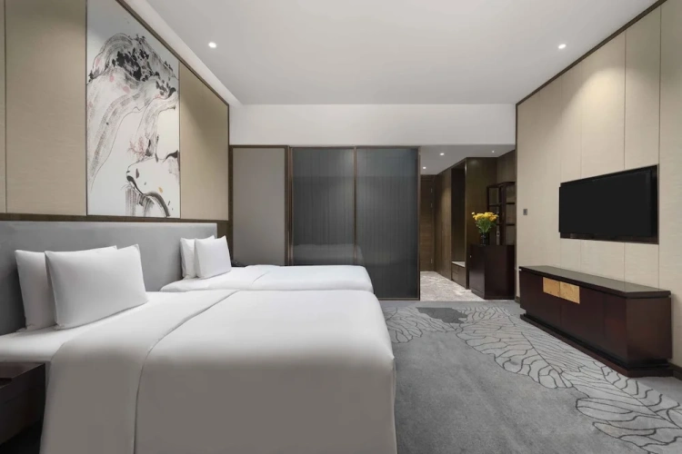 Premium Twin Club room